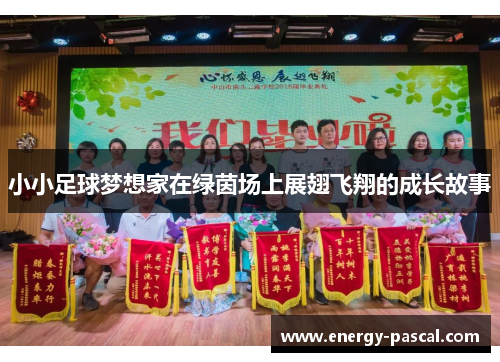 小小足球梦想家在绿茵场上展翅飞翔的成长故事