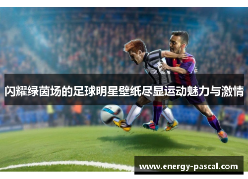闪耀绿茵场的足球明星壁纸尽显运动魅力与激情