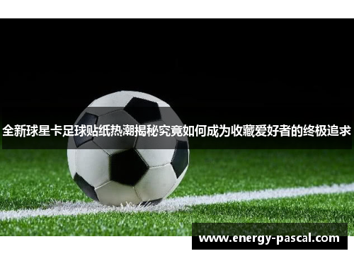 全新球星卡足球贴纸热潮揭秘究竟如何成为收藏爱好者的终极追求